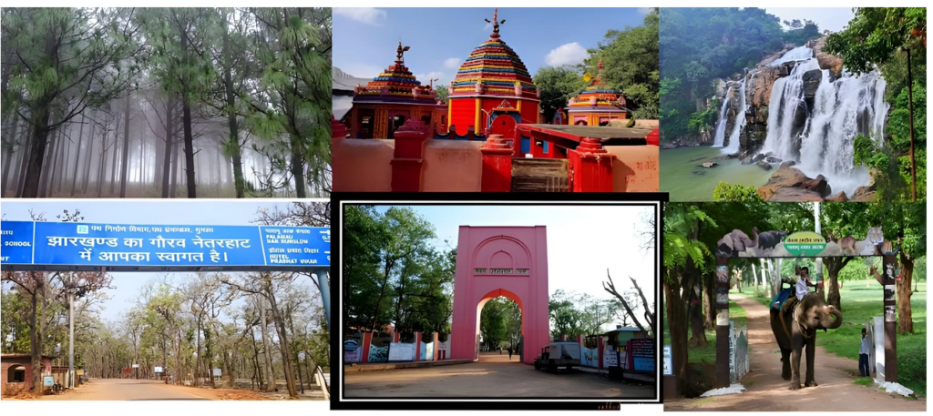 screenshot 2026 02 24 at 13 21 19 ranchi & netarhat tour package – scenic getaway from ₹4999